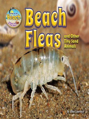 cover image of Beach Fleas and Other Tiny Sand Animals
